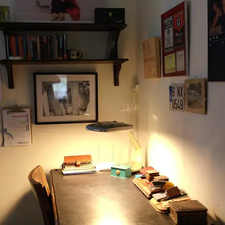 Mediterranea * Petrer