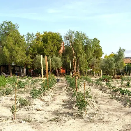 Mediterranea 別荘 Petrer