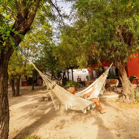 Vakantiehuis Mediterranea